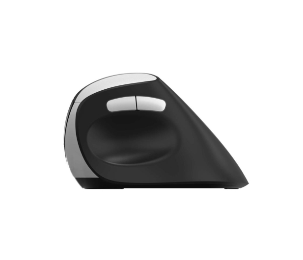 RAPOO Mysz ergonomiczna bezprzewodowa EV250 215045 - 1150432 - zdjęcie 2